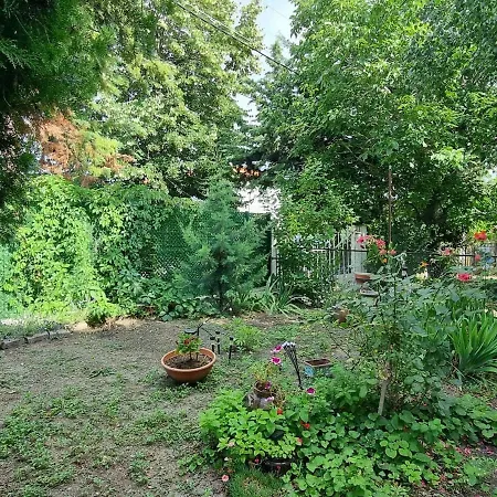 Relax & Spa-house Near Therma Numera Villa *