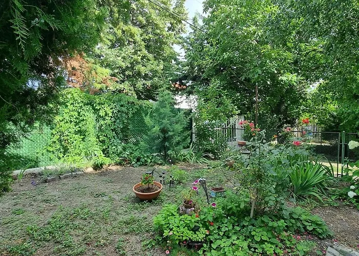 Relax & Spa-house Near Therma Numera Луксозна вила *